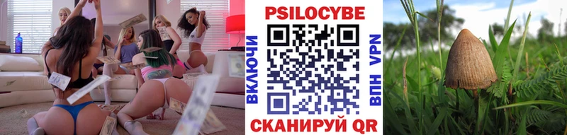 закладки  Пущино  Псилоцибиновые грибы Psilocybine cubensis 
